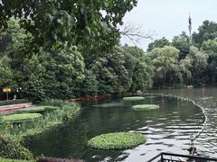 -白鹭洲公园