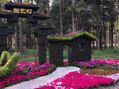 -东平国家森林公园