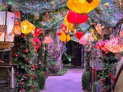 -正佳雨林生态植物园