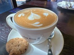 -bluefrog蓝蛙(水游城店)