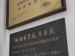 -派美特宠物医院·核磁CT·骨科肿瘤·疑难转诊(沈农禾丰店)