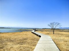 -野鸭湖国家湿地公园
