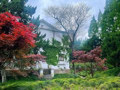 -叶家花园