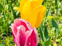 -长春公园(普阳街道)