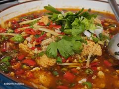 -飞虹鱼馆(春华路店)