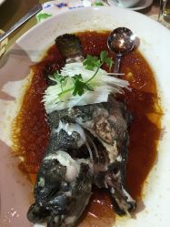 -海航威斯汀酒店·宴会厅