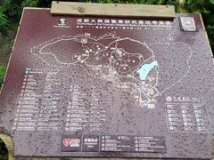 景点-成都大熊猫繁育研究基地