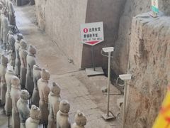 -秦始皇帝陵博物院-丽山园