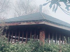 -灵山莲花公园-温泉度假区