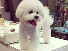 -沐沐家宠物(成寿寺店)