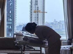 -巍阁高端月子会所