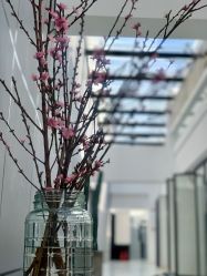 -无界瑜伽普拉提