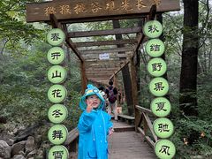 -大岭沟猕猴桃谷风景区