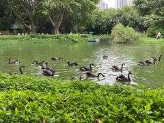 -广州长隆飞鸟乐园