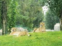 -北京野生动物园