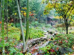 -明月山风景名胜区