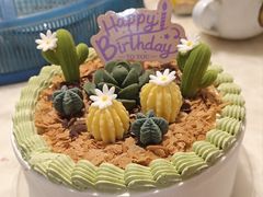 多肉植物-GANSO元祖食品(滨湖万达店)