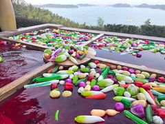 -天目湖涵田半山温泉