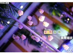 美雯婚庆-南京维景国际大酒店(南京博物院店)