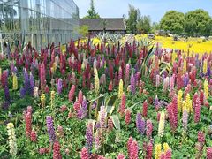 -南通洲际绿博园