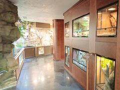 -帕帕拉兹宠物(亚洲旗舰店)