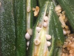 -情妹耙泥鳅·江湖川菜(科华店)