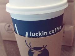 -luckincoffee瑞幸咖啡(东方都会大厦店)