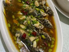 -呼吸森林·生态农庄农家乐私房菜