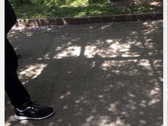 -嘉定紫藤园