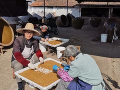 -苏州市吴中区光福窑上花果蜜饯厂