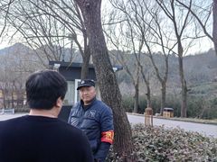 -王顺山国家森林公园