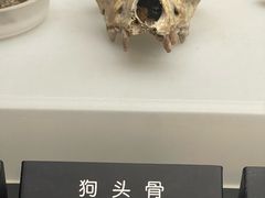 -河姆渡遗址博物馆