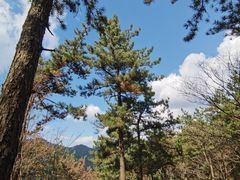 -四明山国家森林公园