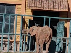 -哈尔滨北方森林动物园