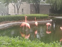 -石家庄市动物园