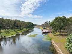 -上海海湾国家森林公园