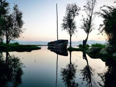 -洱海月湿地公园