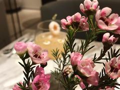 芭蕾课-théATRE 茶聚场(王府中環店)