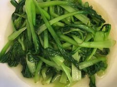 清炒鸡毛菜-玲珑餐厅(陕西南路店)