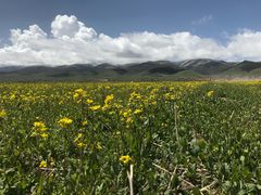 -青海湖国家重点风景名胜区