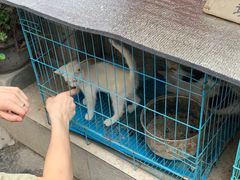 -阿吉仔(大元路店)
