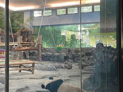-武汉动物园