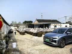 -苏州市吴中区光福窑上花果蜜饯厂