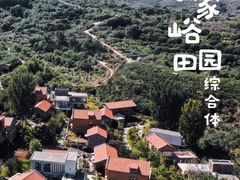 -尹家峪田园综合体