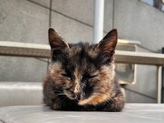 -UNIUNI(凯瑟琳广场店)