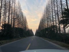 -黄海国家森林公园