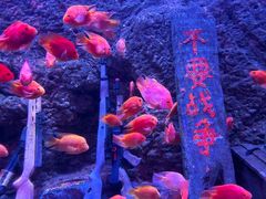 -北海海底世界