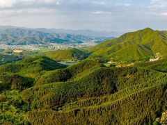 -雁南飞茶田景区