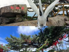 -罗田天堂寨风景区