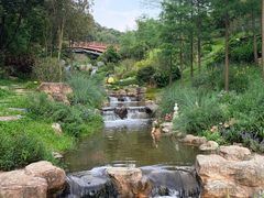 -云溪植物园